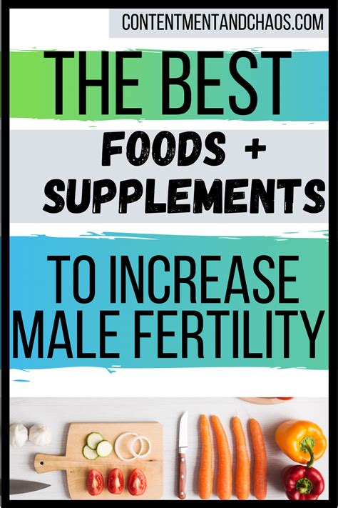 Increase Male Fertility With These Supplements Male Fertility Diet Fertility Foods Male