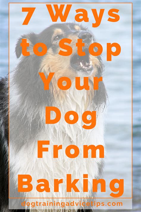 7 Ways To Stop Your Dog From Barking Dog Training Advice Tips