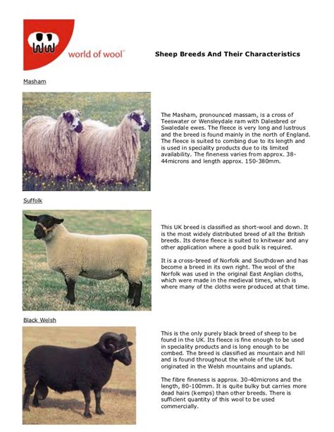 Wow Sheep Breeds Andtheircharacteristics 2008opt
