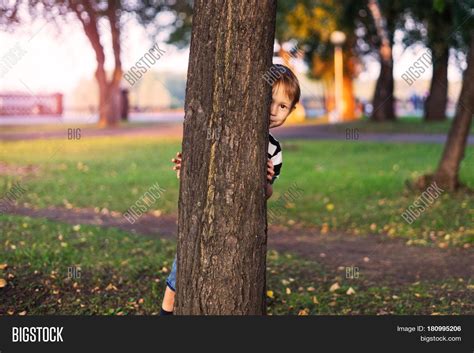 Boy Hides Behind Tree Image & Photo (Free Trial) | Bigstock