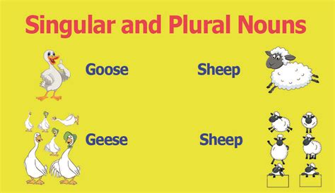 Every word is a part of speech and has a role in our language. Singular and Plural Nouns - Learn ESL