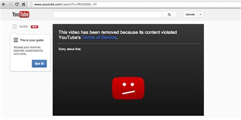 Youtube Only Needs One Spam Flag To Remove A Video Web Applications