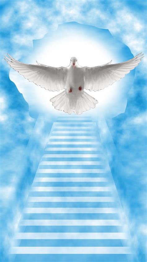 Heaven stairway heaven stairway sky blue nature cloud air weather sun cloudscape background atmosphere clouds sunset climate pattern freedom architecture day sunshine sunny staircase light high stairs white stone beautiful evening view interior stair red dark dramatic water bright landscape. Heaven Image Backgrounds Wallpaper | Heaven wallpaper ...
