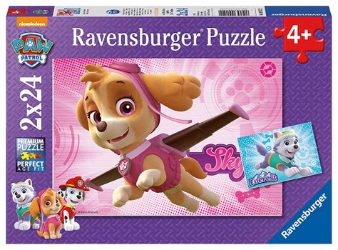 Paw Patrol Skye Puzzle Images And Photos Finder