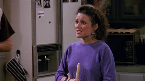 Elaine Benes From Seinfeld