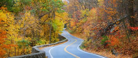 Preparing For An Accessible Road Trip This Fall Nmeda