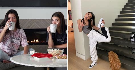 Pictures Of Charli And Dixie Damelios House Popsugar Home