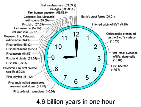 Time Clocks Educational Resources For K 16