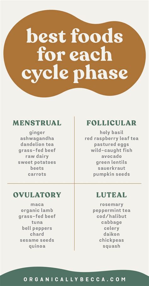 best foods to eat for your menstrual cycle phases newbieto fitness