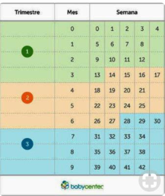 We did not find results for: Cuantos meses son 10 semanas? - Embarazadas primerizas ...