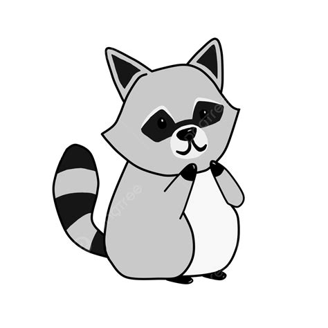 Cute Raccoon Illustration Design Raccoon Animal Illustration Png