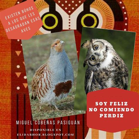 Pin By Miguel Cobeñas Pasiguán On Literato Mcp Bird Animals Owl