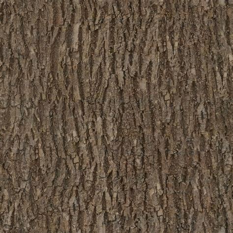 Bark Wood Tree Seamless Texture Albedo Bark Wood Tree Seamless