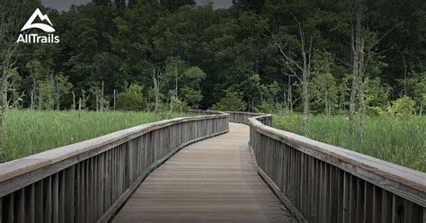 10 Best Hikes and Trails in Newport News Park | AllTrails