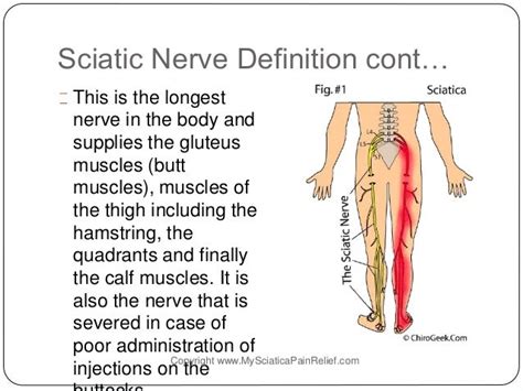 Desire Chiropractic Treatment Recommendations Discover It Right Here