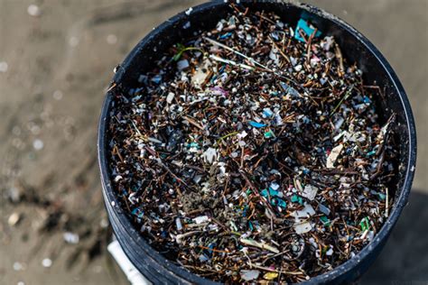 Living On Earth Microplastics Leading To Macro Problems