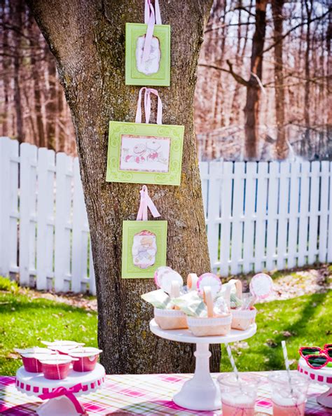Picnic Party Baby Shower Ideas 4u