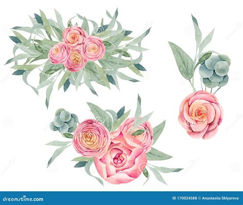Watercolor Isolated Bouquets Of Pink Peonies And Roses Green Leaves