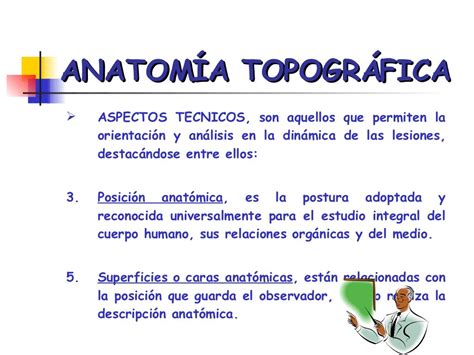 Anatomia Topografica Forense Aplicada A La Medicina Legal