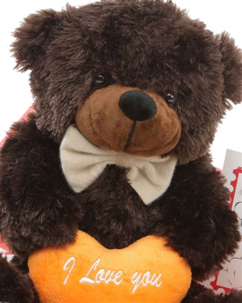 He Loves Me Bear Hug Care Package Featuring Brownie Cuddles Chocolate Brown 18in