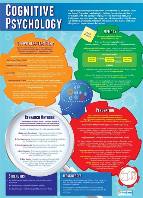 Cognitive Psychology Psychology Posters Gloss Paper Measuring 33 X