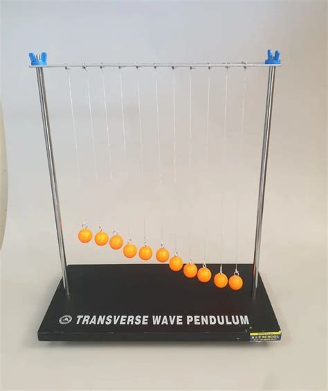 physics model stainless steel transverse wave pendulum newton cradle 4 mm school project at rs