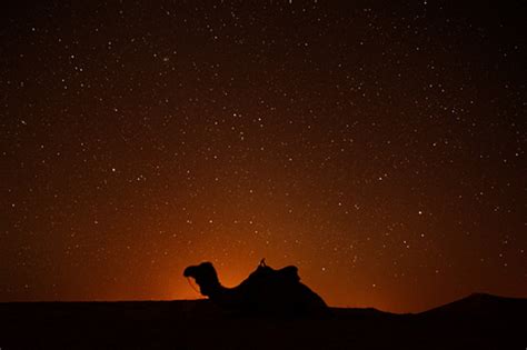 Night Sky Fun Deserts Desert Life Arabian Nights
