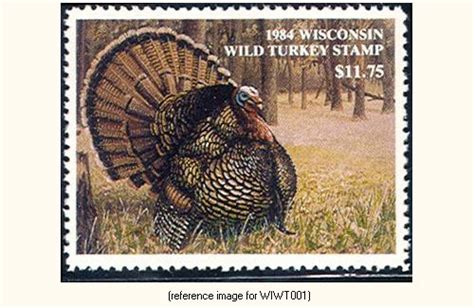 wisconsin wild turkey 1984 present detail