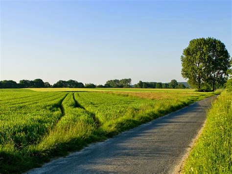 Unduh gambar gambar gratis yang menakjubkan tentang pemandangan latar belakang. background pemandangan keren - Pemandanganoce