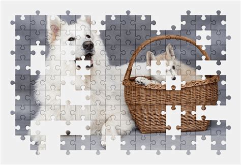 Dogs Jigsaw Puzzles Online