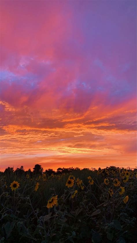 aesthetic sunset wallpaper in 2021 | Aesthetic sunset, Sunset wallpaper