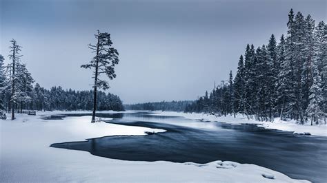 Download Wallpaper 2560x1440 Frozen River Flow Of Water Winter