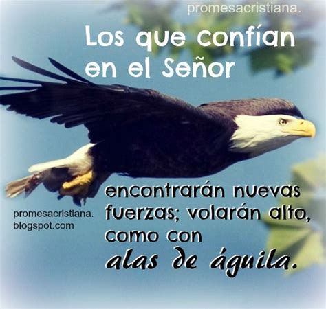 Colección de mónica guerra • última actualización hace 2 días. Pin de Xilene Margareth en Promesas de DIOS para tu vida ...