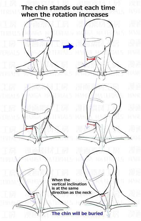Pin By Farah On Art Anime Head Shapes Anime Face Shapes Neck Drawing