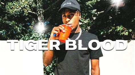 Free For Profit Aggressive Tiger Blood Nba Youngboy Type Beat