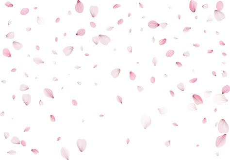 Pink Sakura Petals 10897322 Png
