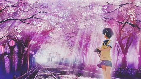 Fond Décran Anime Manga Fleur De Cerisier Printemps Capture D