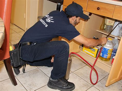 What To Expect From The Pest Exterminator Specialist