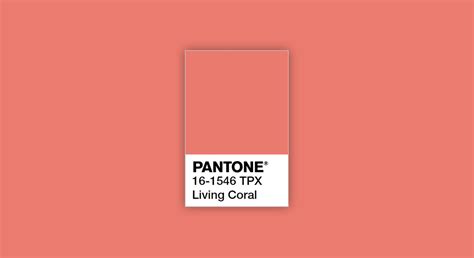 Introducing The Pantone Colour Of The Year 2019 The Behaviours Agency