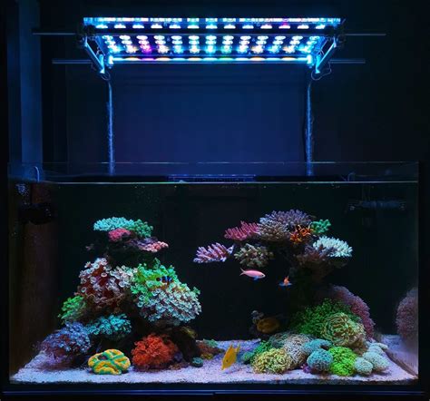 Best Reef Aquarium Led Lighting Photos Gallery Orphek