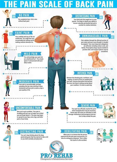 Back Pain Specialist Prorehab Chiropractic