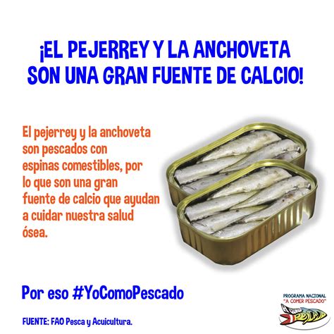 ¡el Pejerrey Y La Anchoveta Son Una Gran Fuente De Calcio En 2020