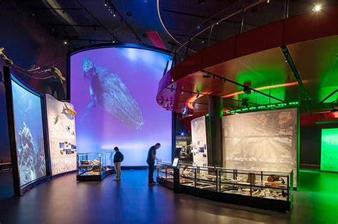 National Museum Of Australia Launches New Environmental Gallery And