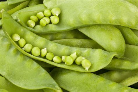 Peas In A Pod Closeup Stock Photo Image Of Sphere Freshness 70192614