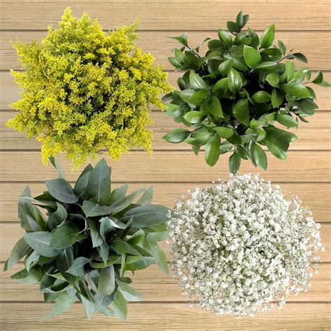 If you have another question, you may have some luck searching the subreddit for related questions / topics. 100-stem Fillers and Greens | Costco flowers, Costco ...