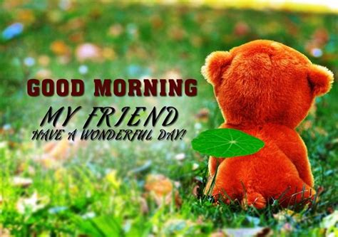 20 Best Good Morning Wishes for Friend | Good morning dear friend, Good