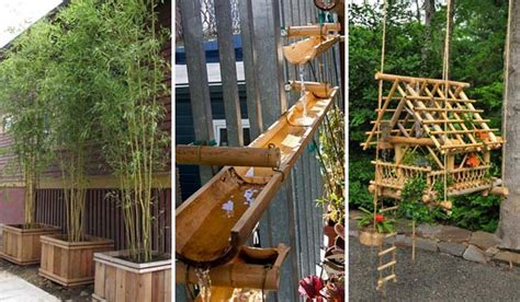 Inspiring and creative ideas in 13 images, we share here. Top 21 Easy and Attractive DIY Projects Using Bamboo ...