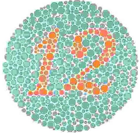 Color Blindness Test Ultimate Edition Mighty Optical Illusions