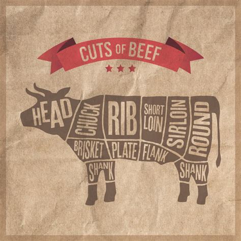 Beef Cuts Chart Types How To Cook Primals More