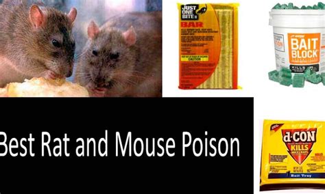 D Con Refillable Corner Fit Mouse Poison Bait Station 1 Trap 12 Bait D8e